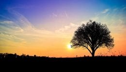 Who Should Have Funeral Insurance