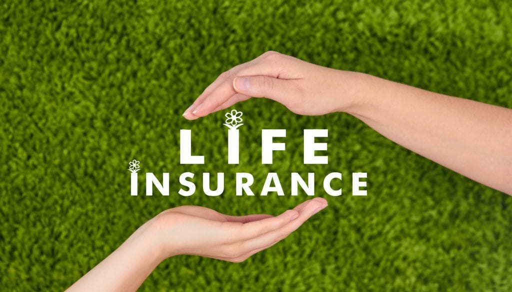 Kind of Life Insurance